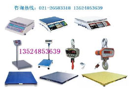 如何選擇專業(yè)的電子秤供應(yīng)商 品質(zhì)、優(yōu)惠與技術(shù)服務(wù)的均衡之道